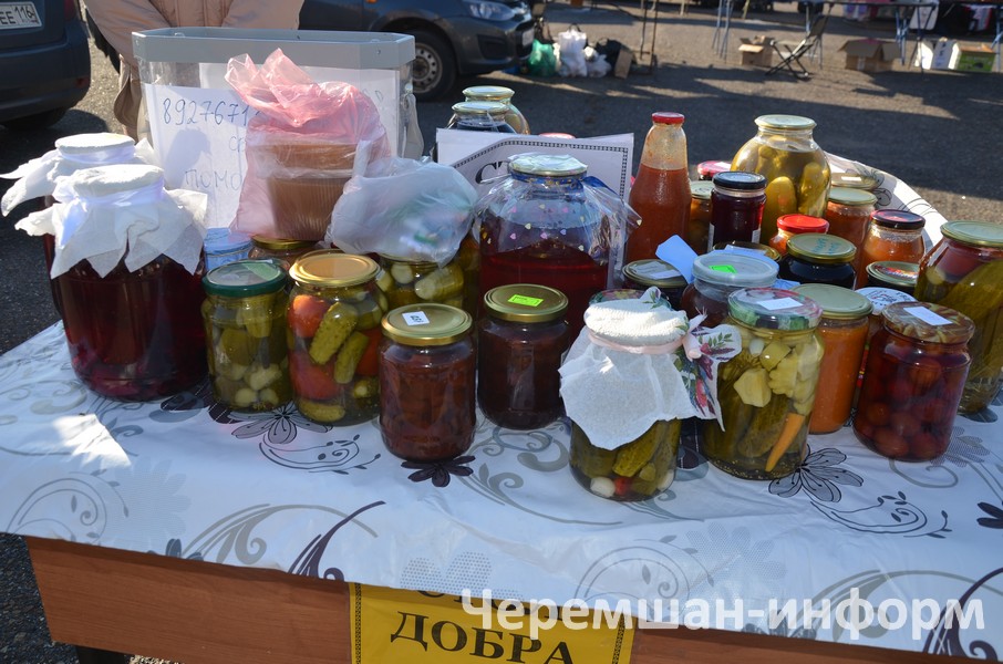 Төп максат — махсус хәрби операциядә катнашучы якташларыбызга гуманитар ярдәм өчен акча җыю: фото Марата Гумерова