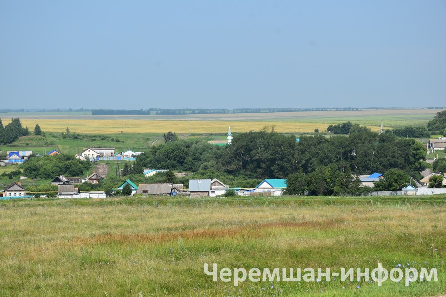 Салих абзыйга Бал Салих кушаматын бик күп умарта тотканга, бал сатканга бирелгән: Кадрия Гамирова фотосы
