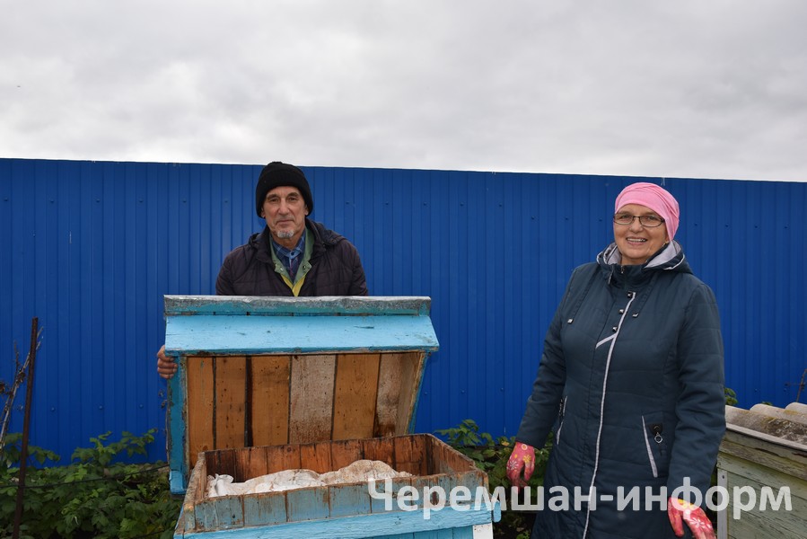 Сегодня Валиуллины разводят птицу,  в саду много и ульев: фото Кадрии Гамировой