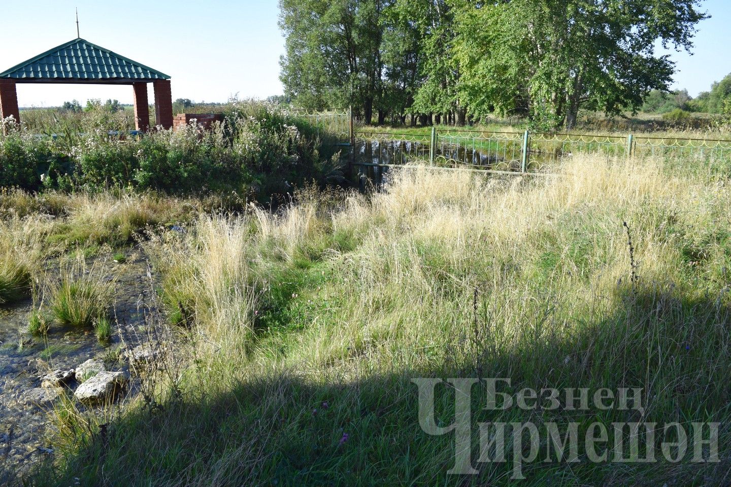 Нижнечегодайский родник зарос сорняком