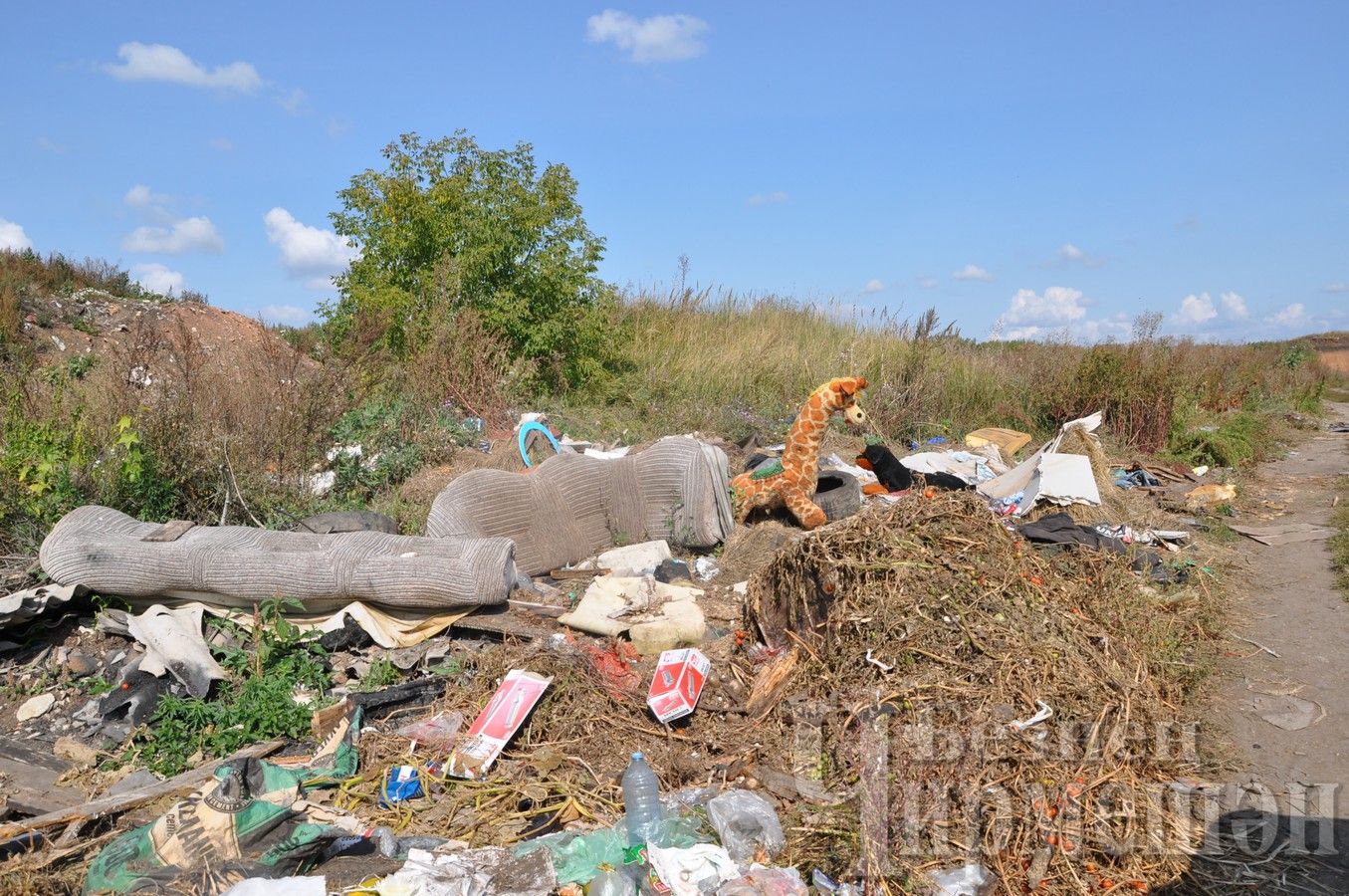 В Черемшане до сих пор вывозят мусор в «солдатский карьер»