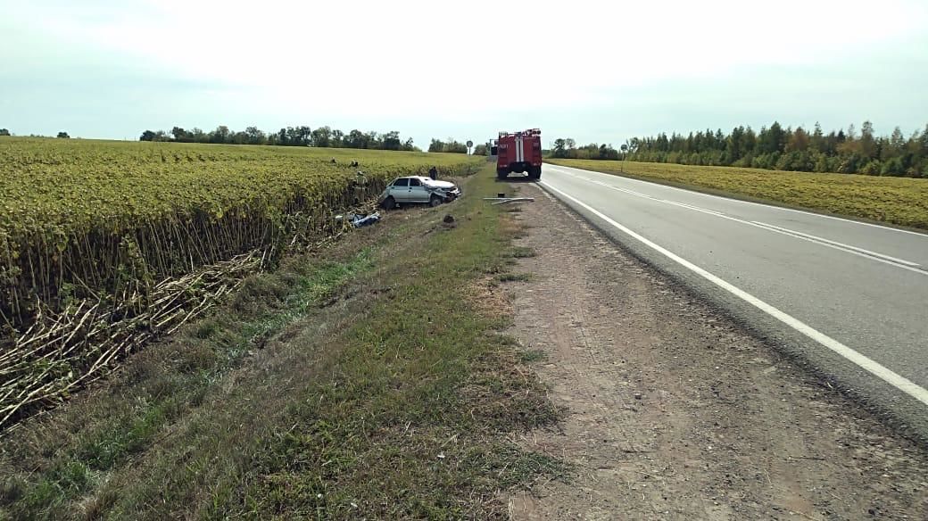 В Черемшанском районе водитель автомобиля сильно пострадал в аварии