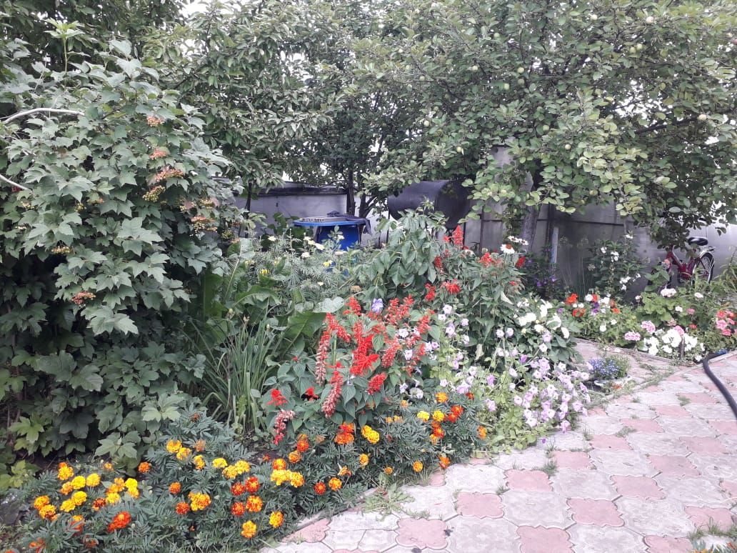 У Альфинур Насретдиновой из Беркет Ключа красивый сад