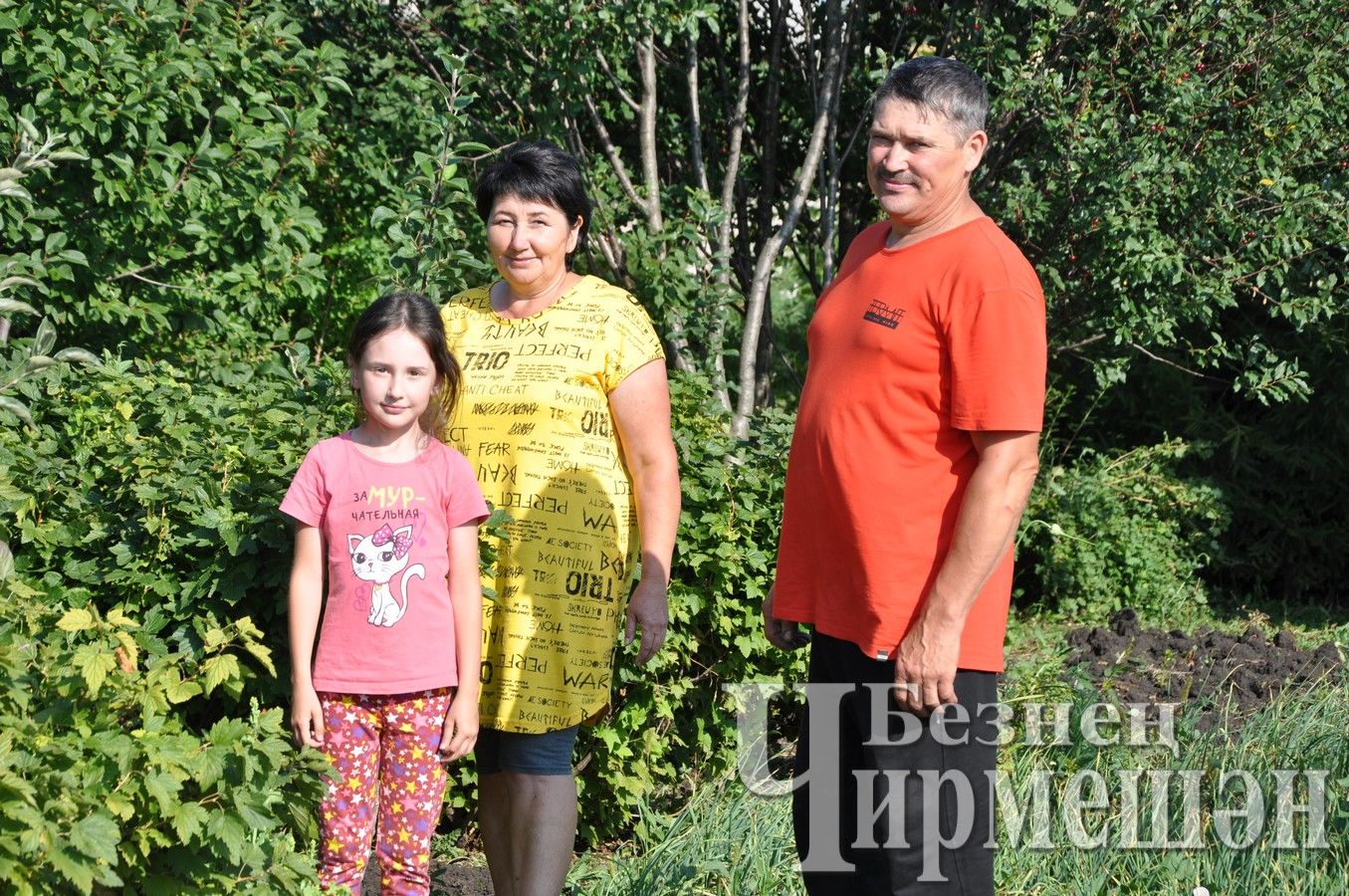 В черемшанском селе Туйметкино на рябине вырастили грушу