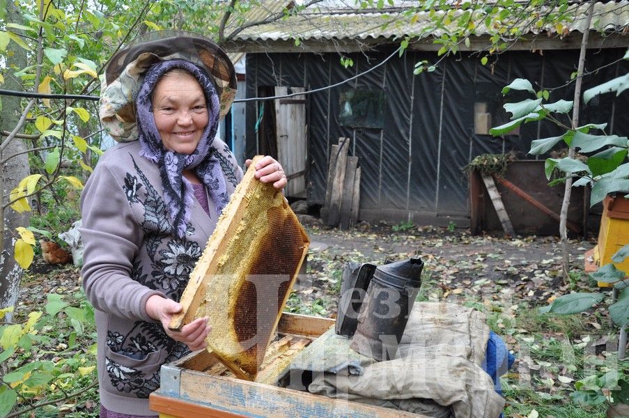 Лагерка ветераны, умарталар тыңлап, китап яза