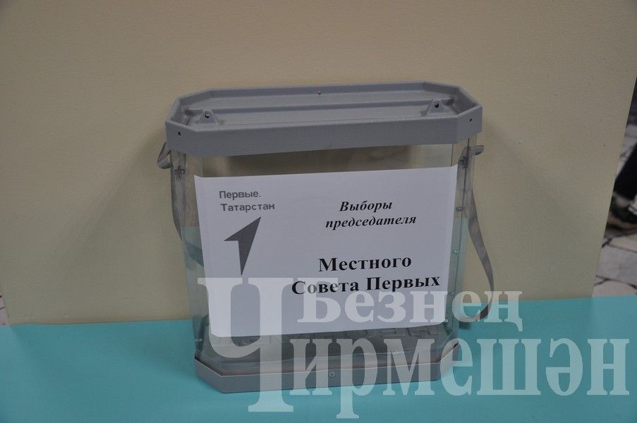 Динара Хамитова избрана председателем Совета «Движения Первых»