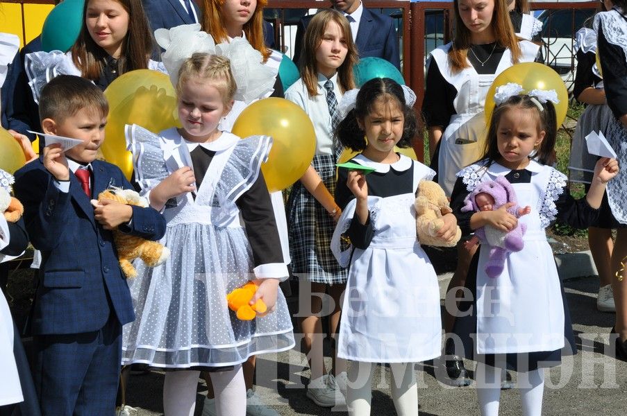 В шести школах Черемшанского района нет первоклассников