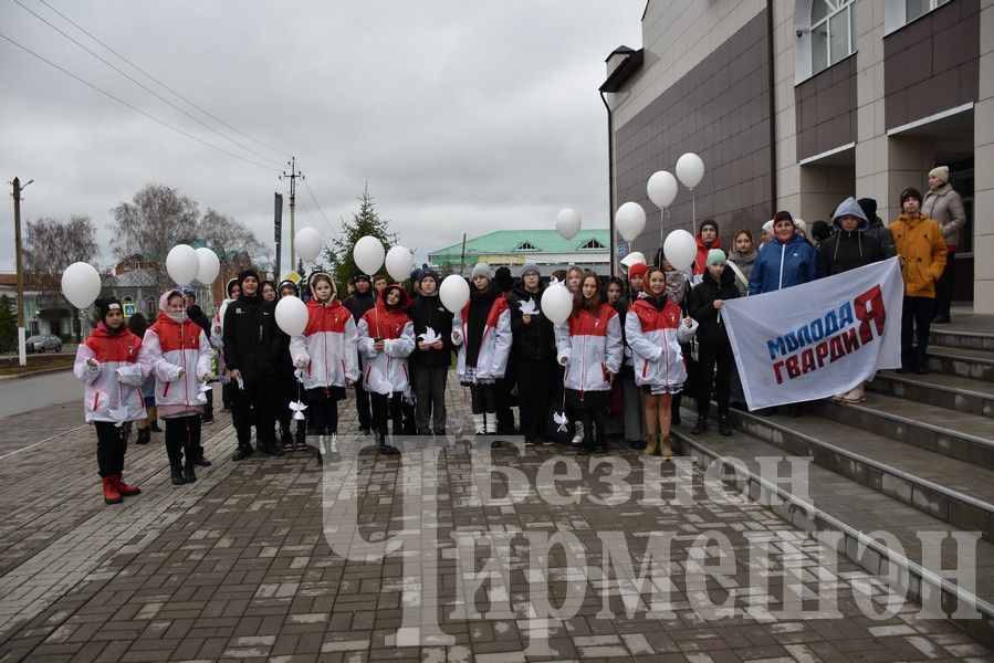 Чирмешәндә юл-транспорт һәлакәтләре корбаннарын искә алдылар