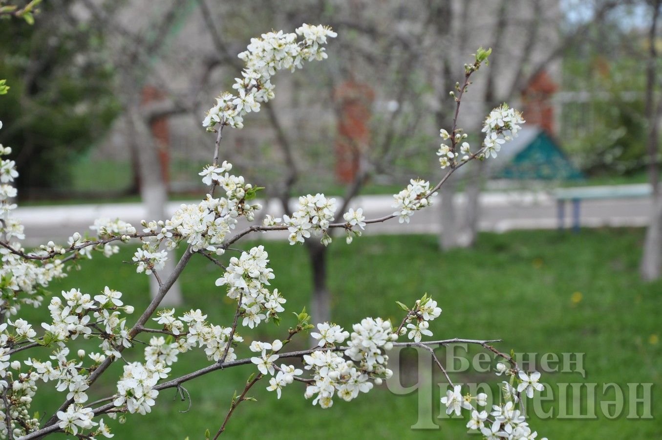 Май яллары озынаерга мөмкин