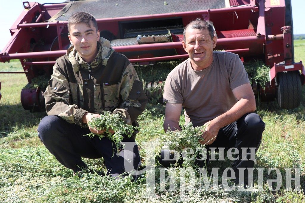 “Ильхан”да сенаж салалар