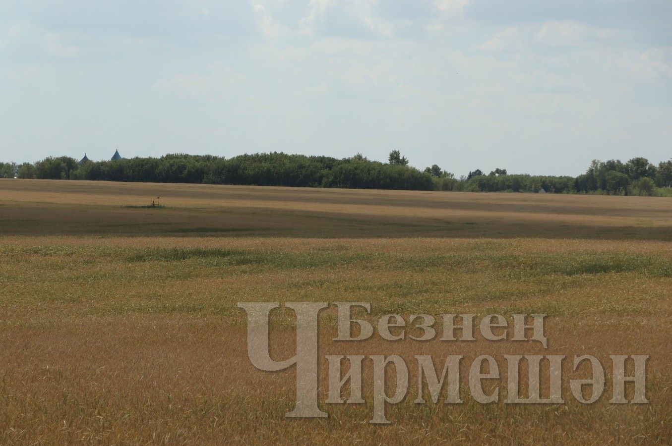 В Татарстане ввели режим чрезвычайной ситуации