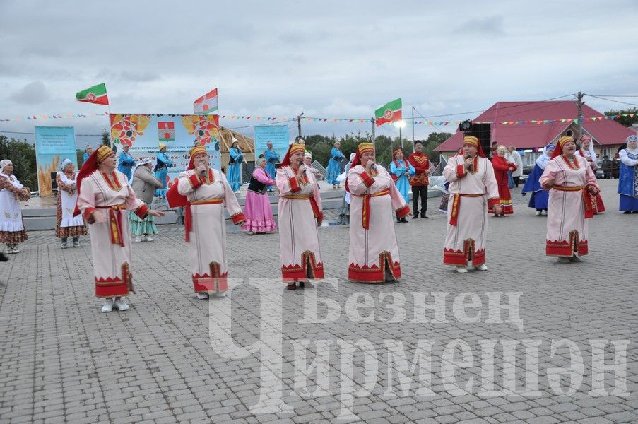 Черемшанцы с размахом отметили День Республики