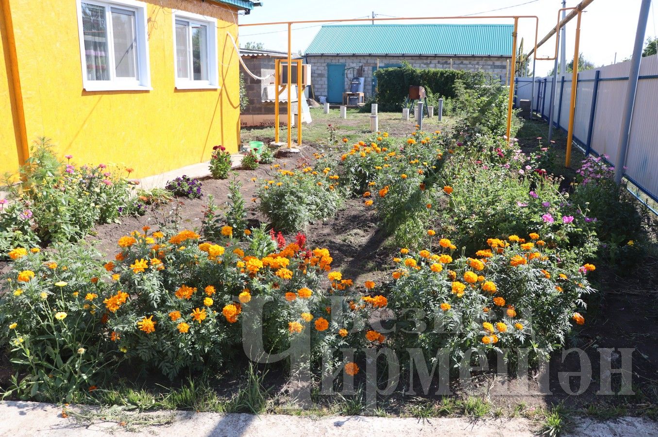 Семья, вернувшаяся в Старые Кутуши, не собирается уезжать