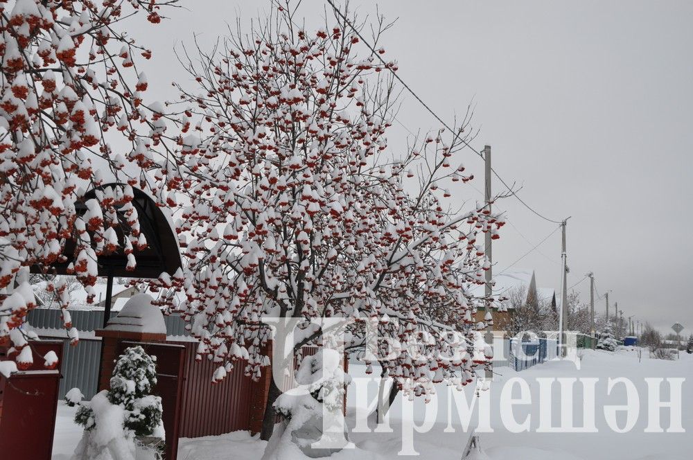 Татарстанда көчле җил көтелә