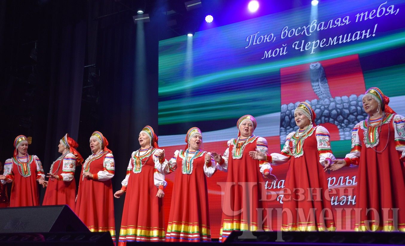 Черемшанцы, проживающие в Казани, снова назначили день проведения встречи
