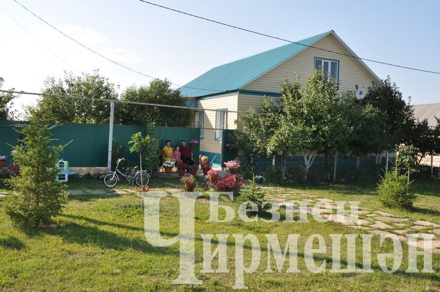 Туймәтлеләр чәчәкләр үстерергә ярата