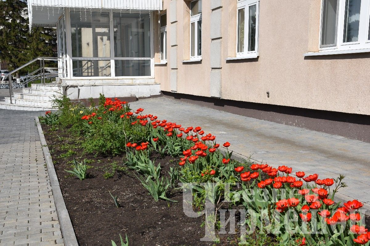 Татарстанда +21 градуска кадәр җылы булуы һәм яшенле яңгыр көтелә