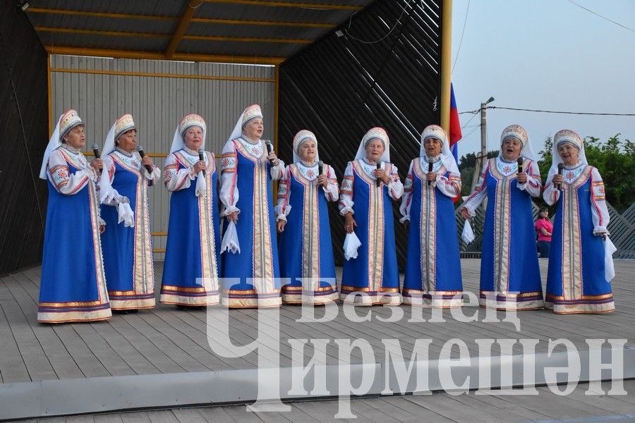 По случаю Дня России в Черемшане организовали большой концерт