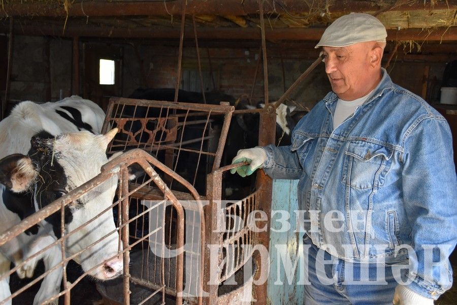 Азат Мугинов часть работ в своем хозяйстве «возложил» на технику