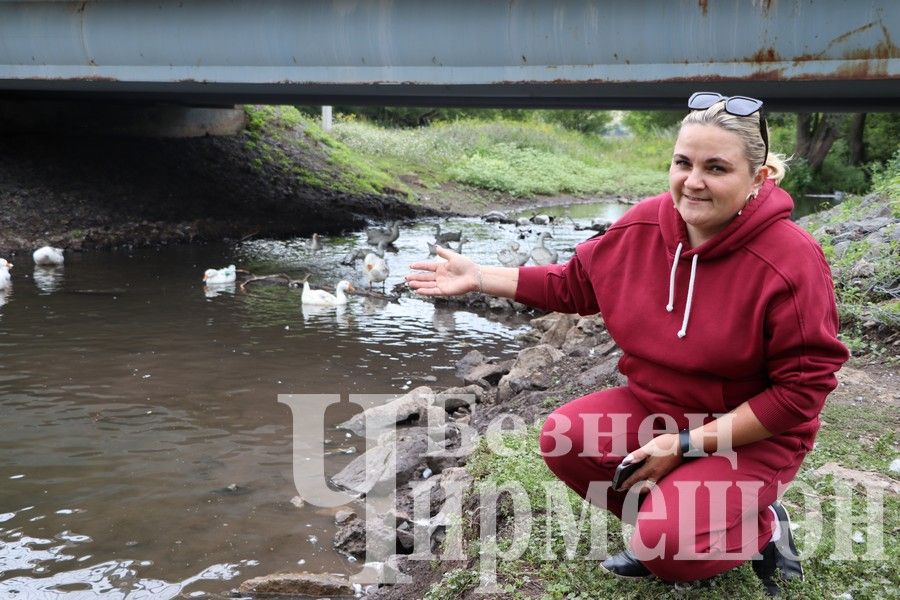 Жительница Черемшана Татьяна Герасимова 10 лет занимается выращиванием гусей