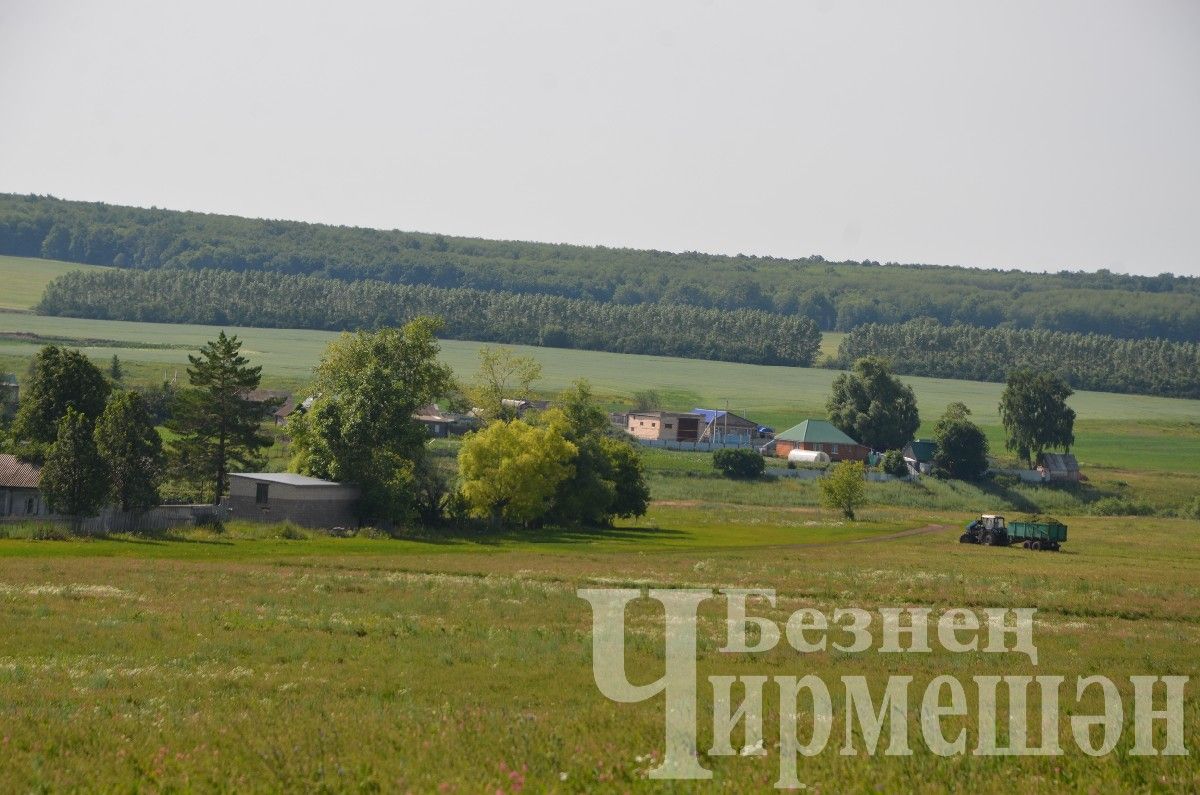 Новоильмовским фермерам на зиму необходимо 100 тюков сена