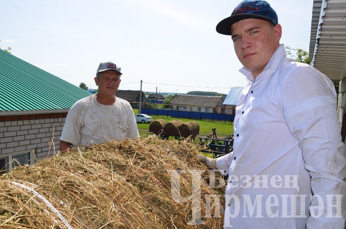 Новоильмовским фермерам на зиму необходимо 100 тюков сена