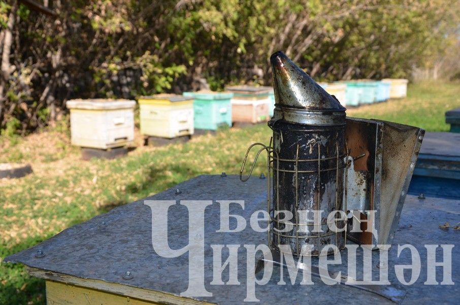 Хуснуллины из Подлесного Утямыша в нынешнем году выкачали около тонны меда