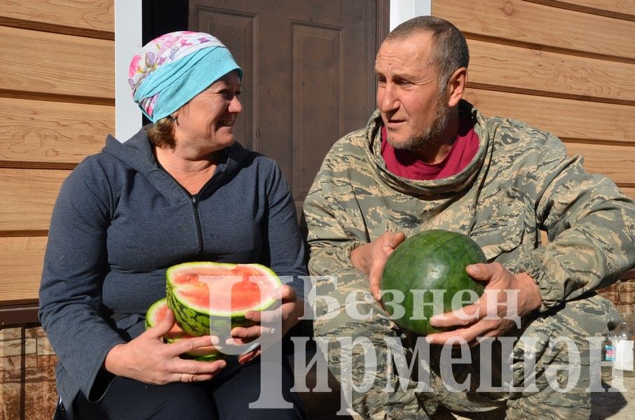 Хуснуллины из Подлесного Утямыша в нынешнем году выкачали около тонны меда