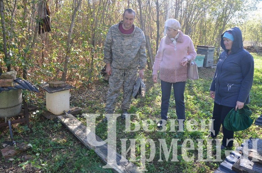 Хуснуллины из Подлесного Утямыша в нынешнем году выкачали около тонны меда