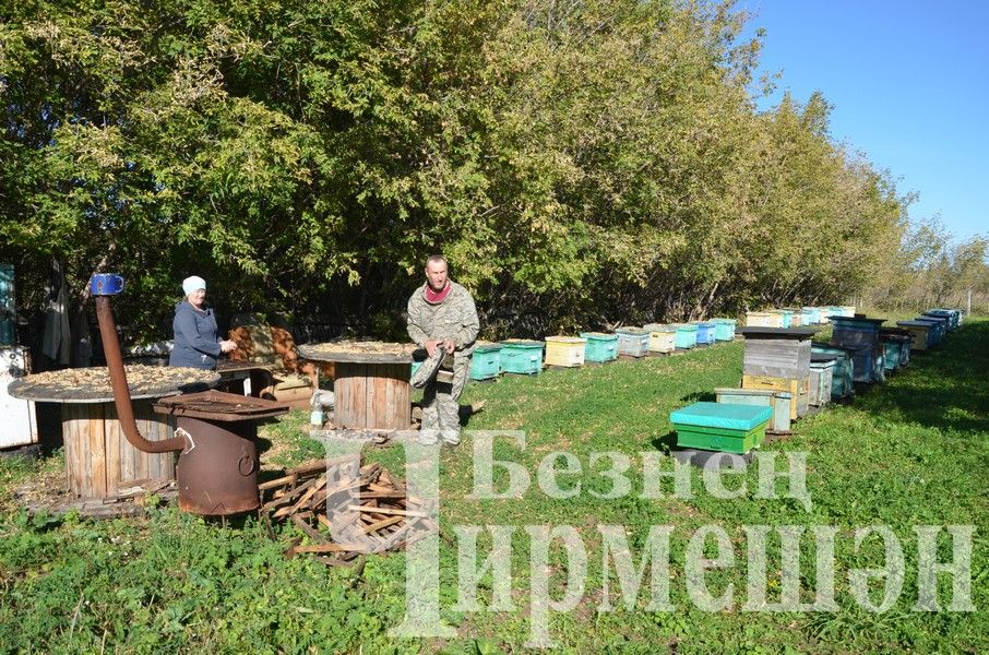 Хуснуллины из Подлесного Утямыша в нынешнем году выкачали около тонны меда