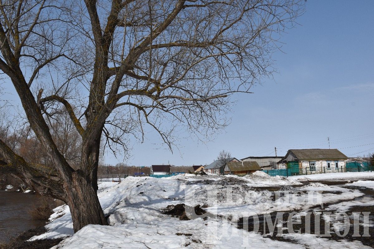Синоптиклар язның нинди булачагын фаразлады