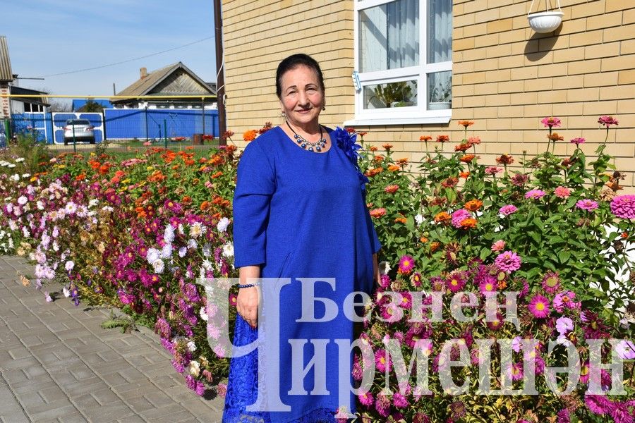 Чәч кисү остасы Чирмешәндәге гомеренең ничек үткәнен сизми дә калган