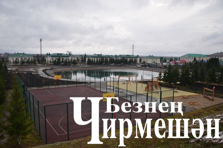 Чирмешәндәге рейдлар вакытында әллә ничә урында чүплекләргә юлыкканнар