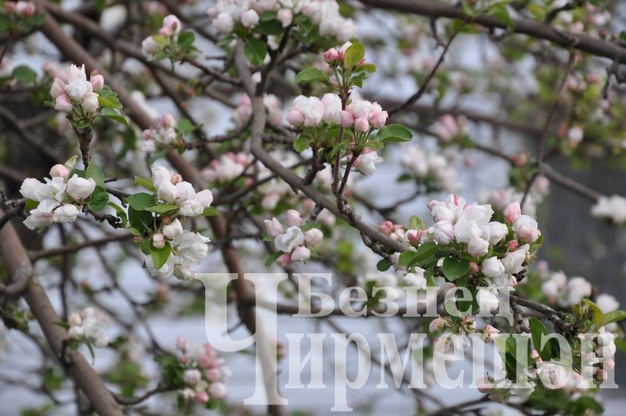 Татарстанлыларны майда ике атнага якын ял көннәре көтә