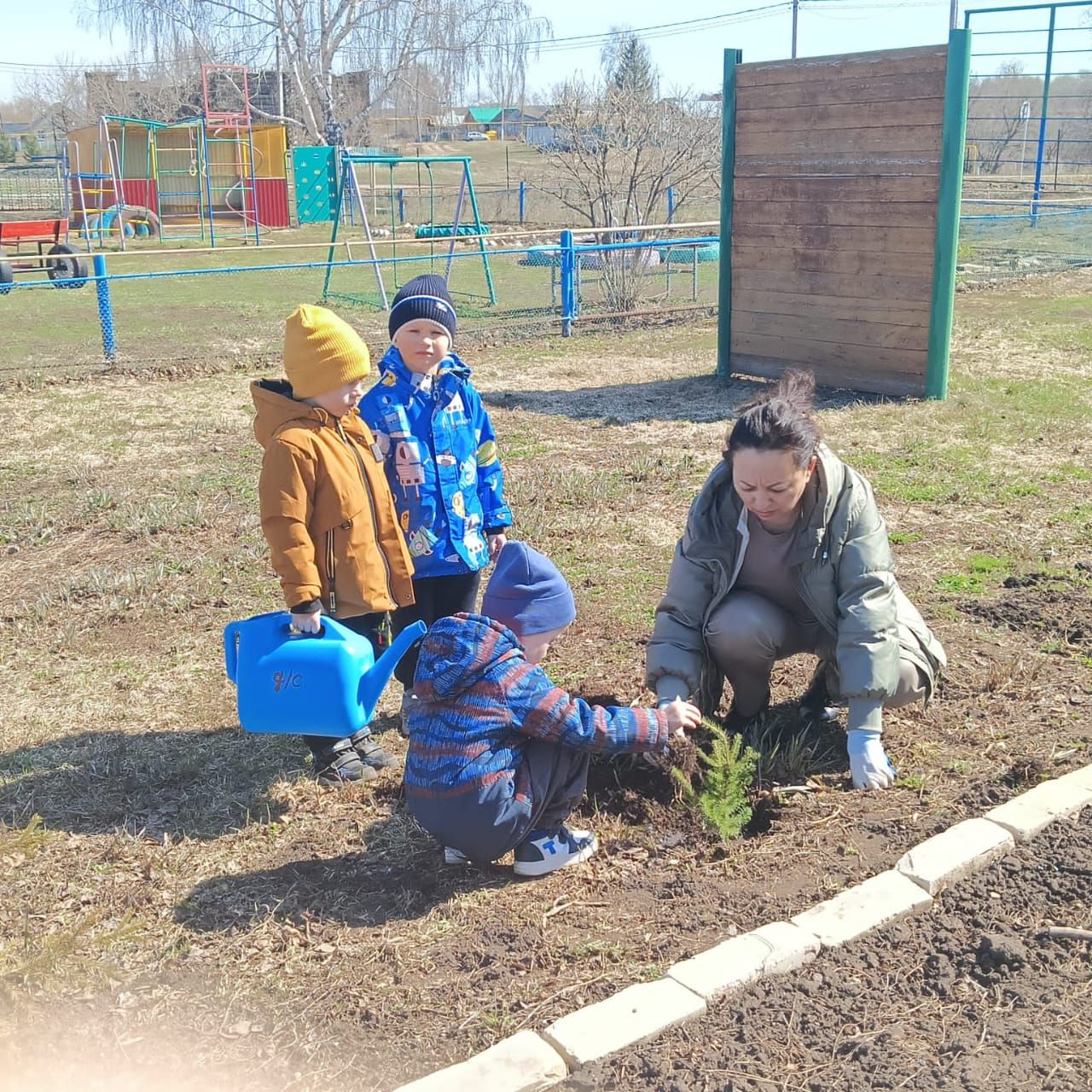 Күтәмәлеләр 50 төп чыршы утыртты