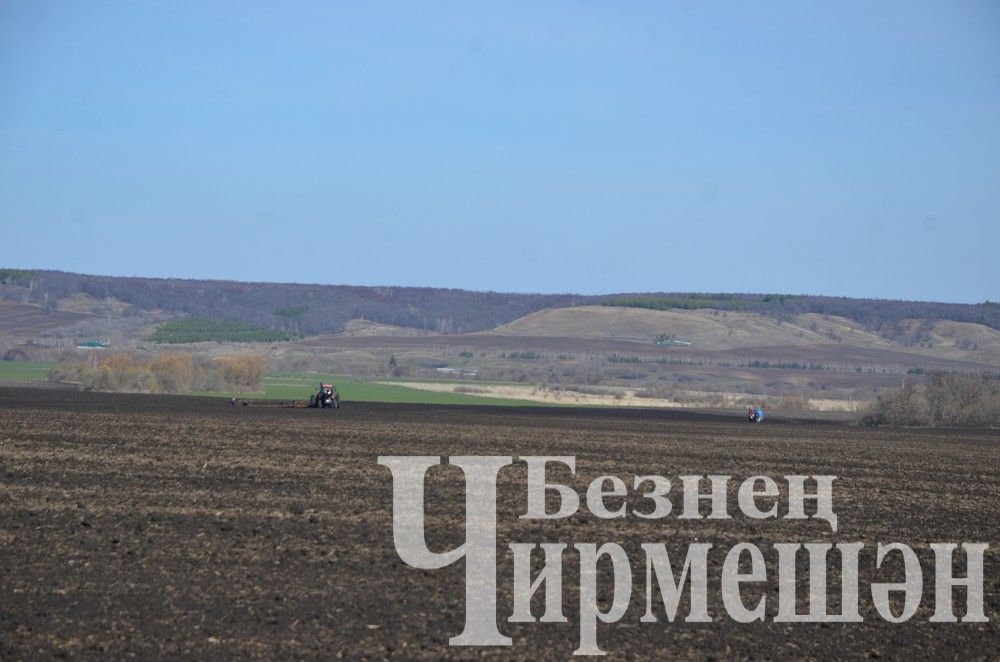 Чирмешән районы хуҗалыкларында кырларның 54 процент өлешендә дым каплатканнар