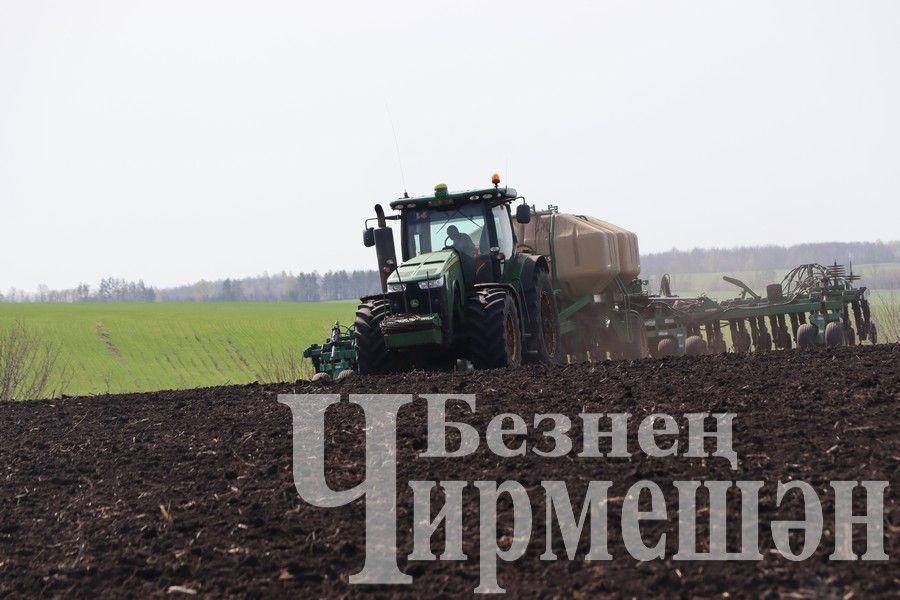 В Черемшанском районе сеялки прошли на 33% площади, подготовленной под посев