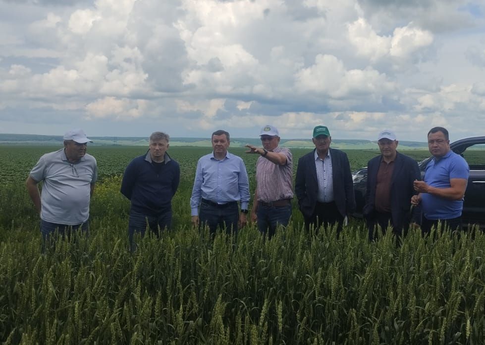 Министр Марат Җаббаров чирмешәнлеләр эшен уңай бәяләде