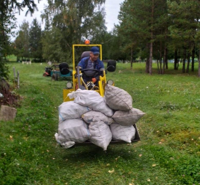 Чирмешән районы яшелчәләрен Ульяновск өлкәсенә дә озатканнар