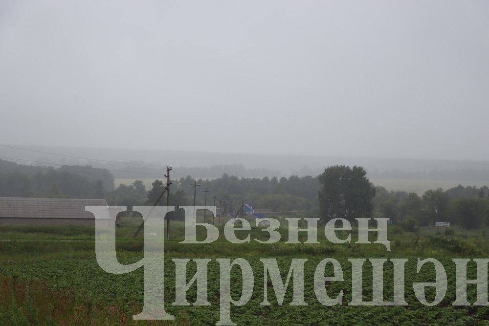 Татарстанда һава температурасы +5 градуска кадәр төшәчәк