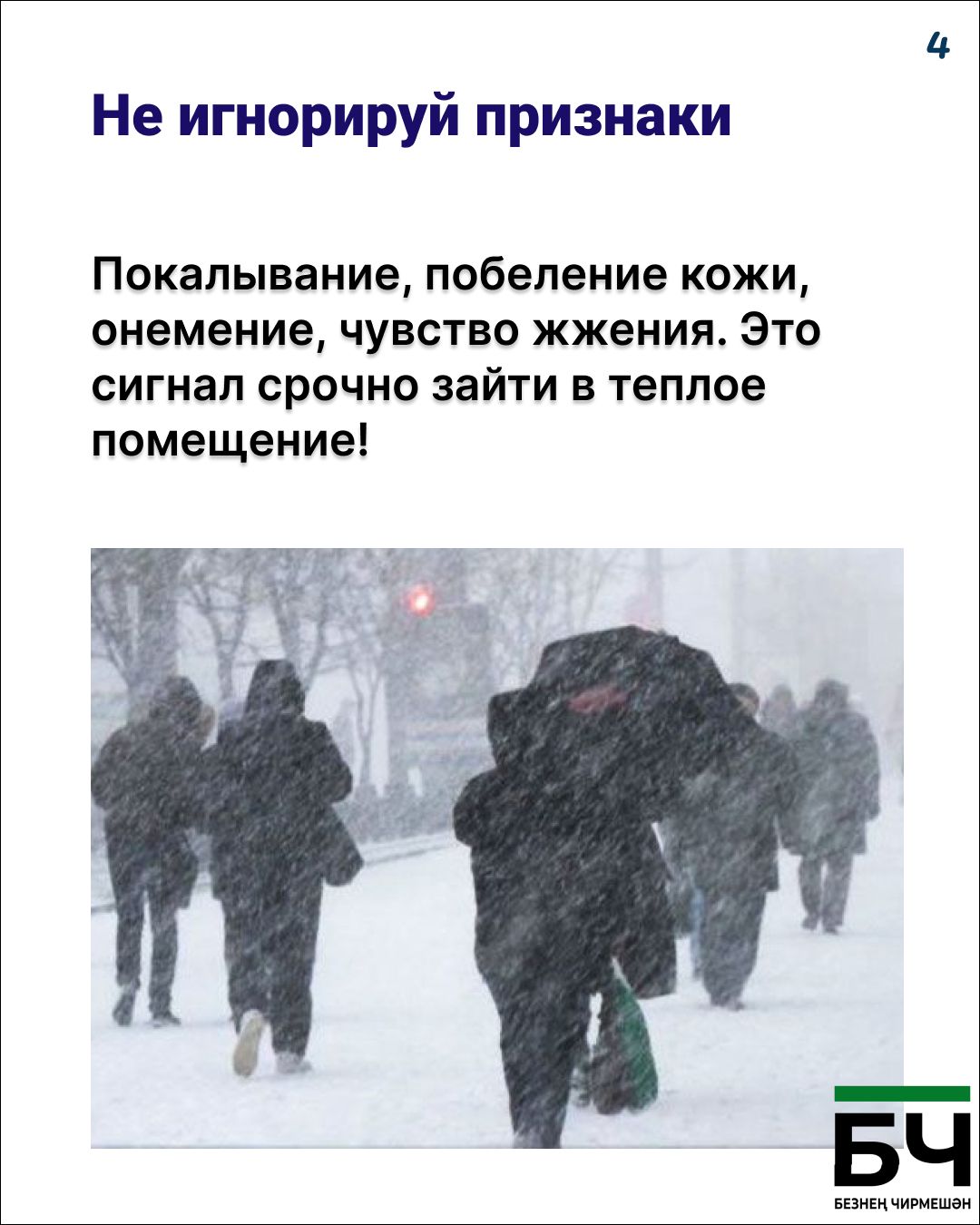 Тот самый случай, когда «капуста» — это не про еду, а про вашу зимнюю безопасность (карточки)