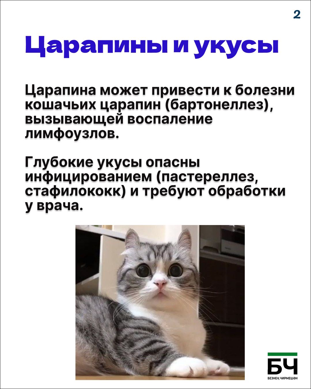 Опасность — понятие относительное (карточки)