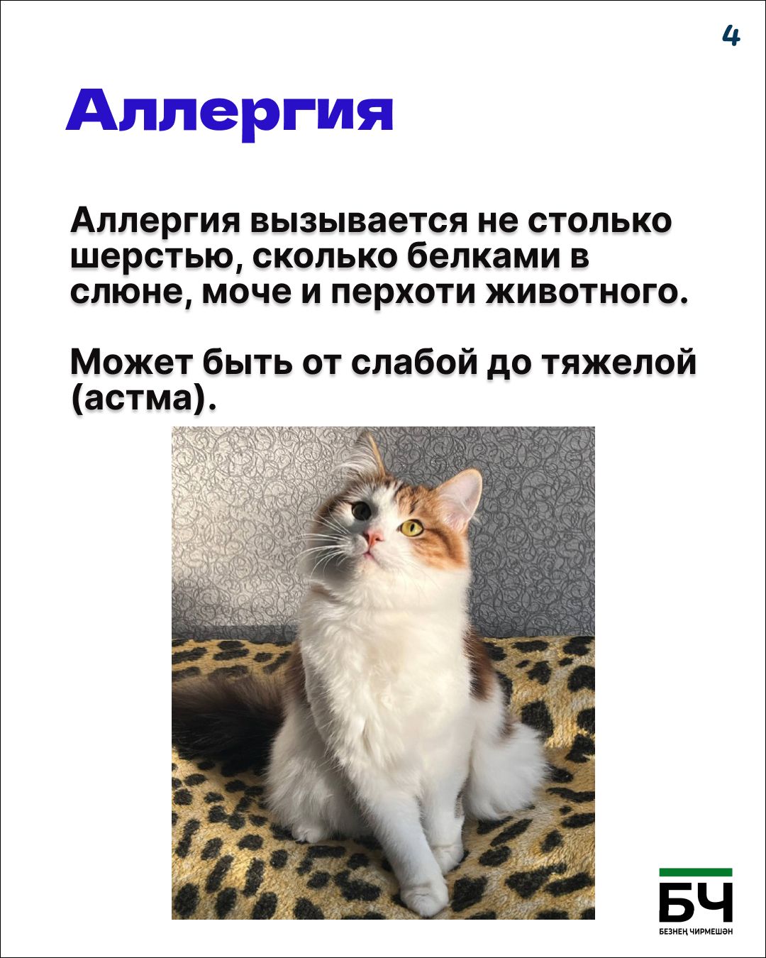 Опасность — понятие относительное (карточки)