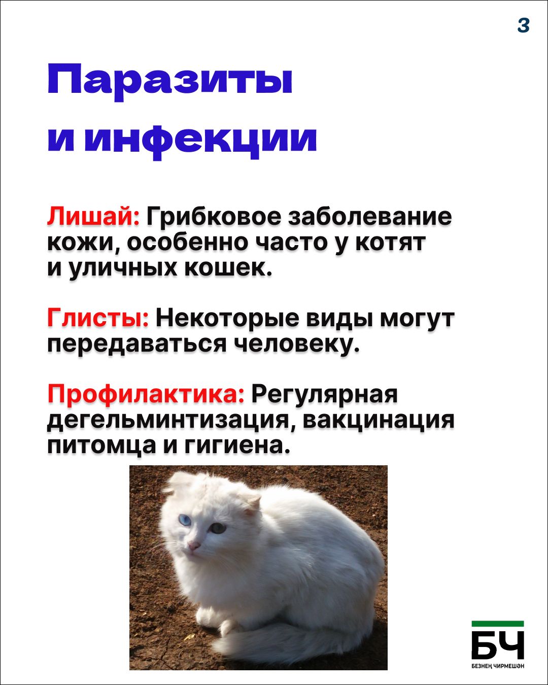 Опасность — понятие относительное (карточки)
