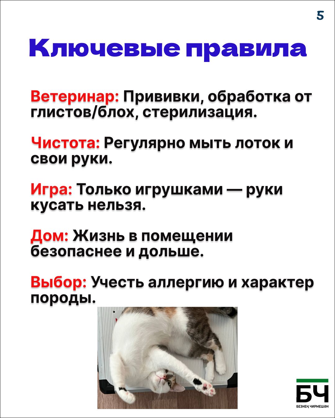 Опасность — понятие относительное (карточки)
