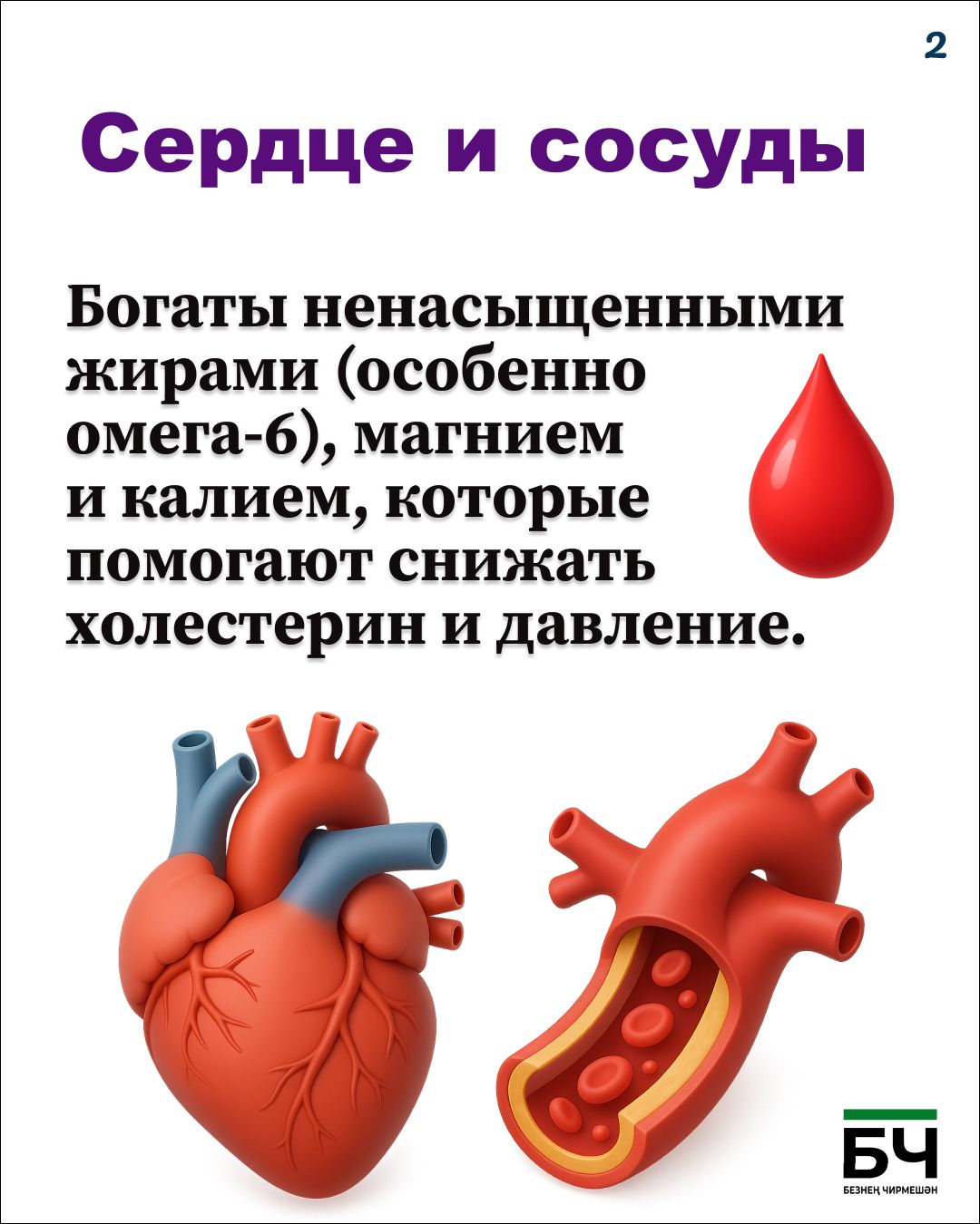 Щелкаем на здоровье: чем полезны обычные семечки? (карточки)