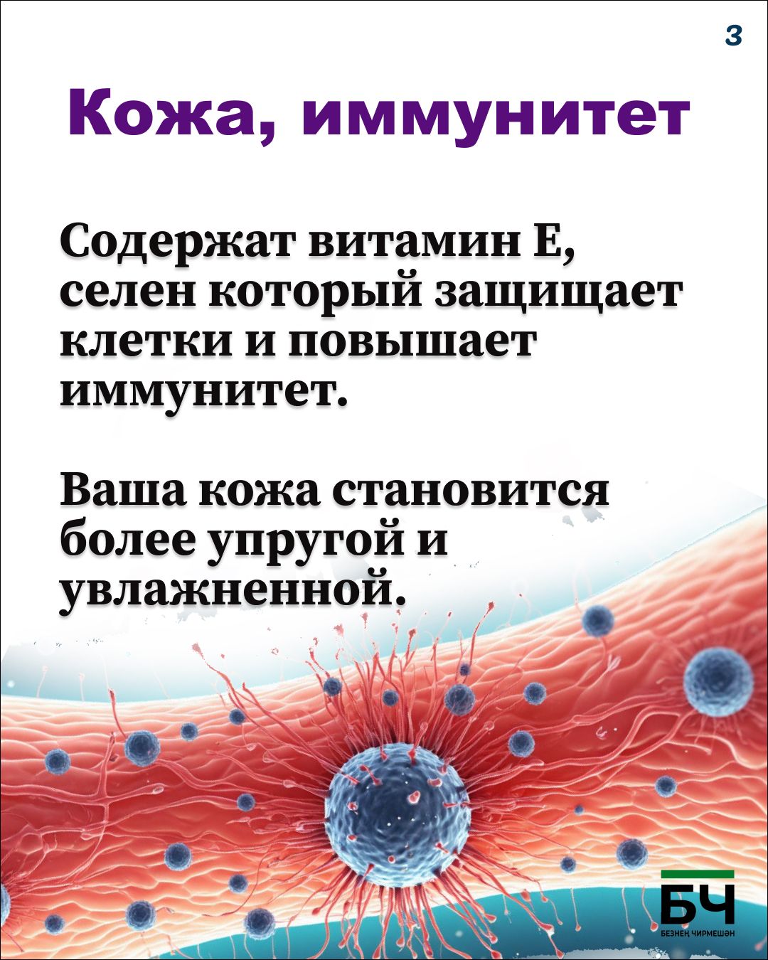Щелкаем на здоровье: чем полезны обычные семечки? (карточки)