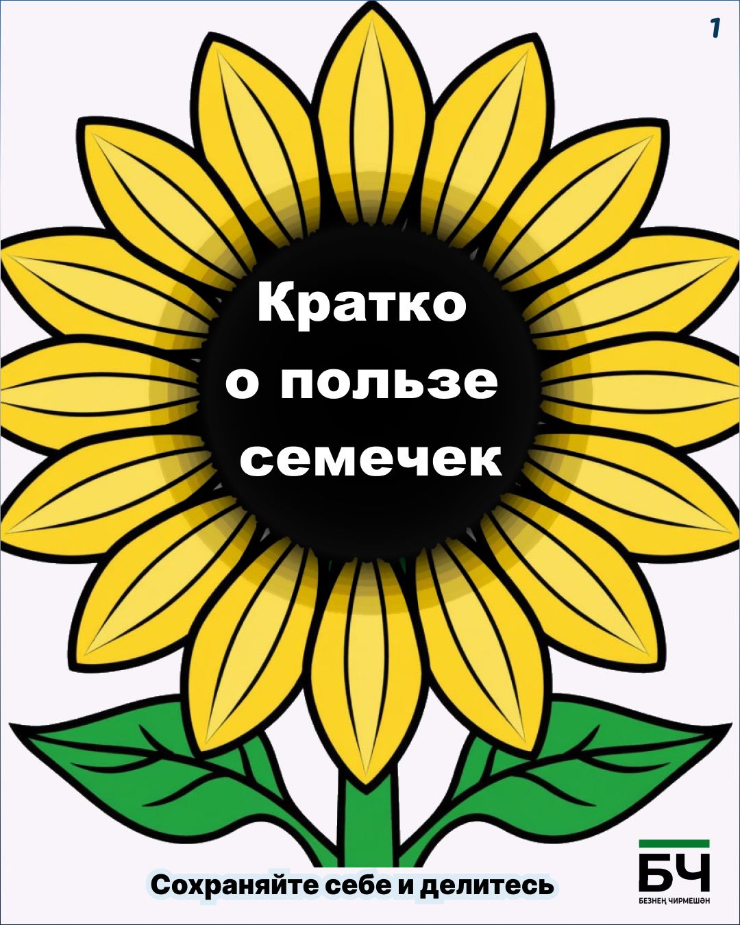 Щелкаем на здоровье: чем полезны обычные семечки? (карточки)