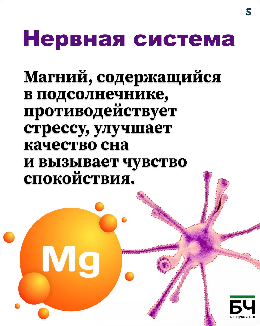 Щелкаем на здоровье: чем полезны обычные семечки? (карточки)