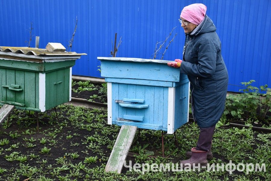 Утыз Имәннән Вәлиуллиннар йортындагы чәчәкләр кышын да “шиңми”
